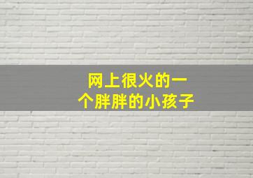 网上很火的一个胖胖的小孩子