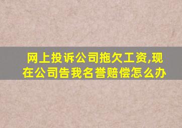 网上投诉公司拖欠工资,现在公司告我名誉赔偿怎么办