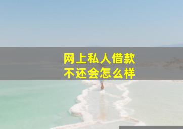 网上私人借款不还会怎么样