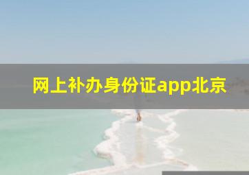 网上补办身份证app北京