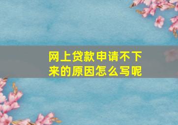 网上贷款申请不下来的原因怎么写呢