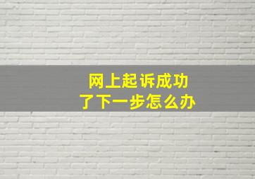 网上起诉成功了下一步怎么办