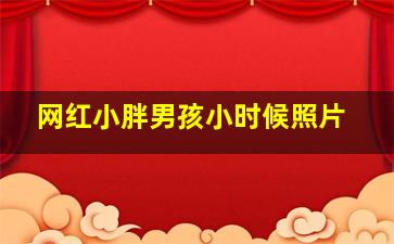 网红小胖男孩小时候照片