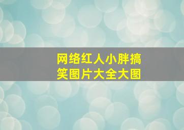 网络红人小胖搞笑图片大全大图