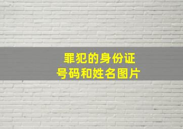 罪犯的身份证号码和姓名图片