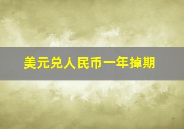 美元兑人民币一年掉期