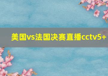 美国vs法国决赛直播cctv5+