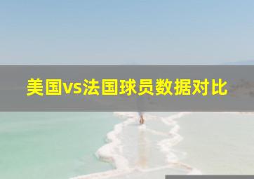 美国vs法国球员数据对比