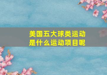 美国五大球类运动是什么运动项目呢