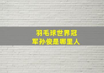 羽毛球世界冠军孙俊是哪里人