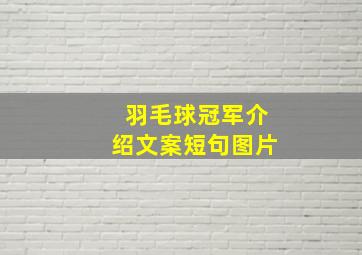 羽毛球冠军介绍文案短句图片