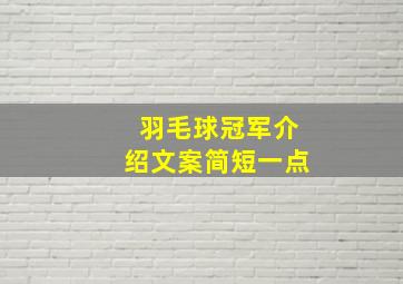 羽毛球冠军介绍文案简短一点