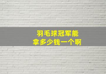 羽毛球冠军能拿多少钱一个啊