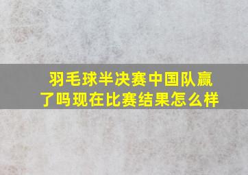 羽毛球半决赛中国队赢了吗现在比赛结果怎么样