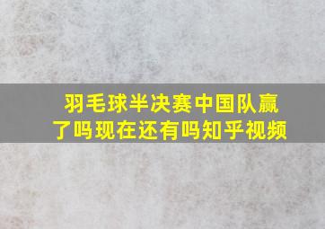 羽毛球半决赛中国队赢了吗现在还有吗知乎视频