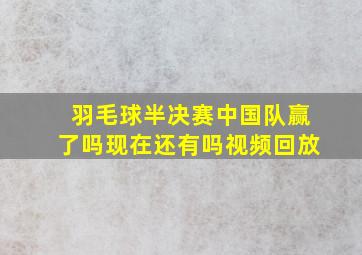 羽毛球半决赛中国队赢了吗现在还有吗视频回放