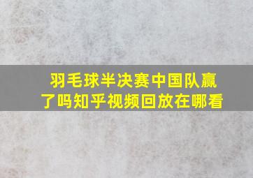 羽毛球半决赛中国队赢了吗知乎视频回放在哪看