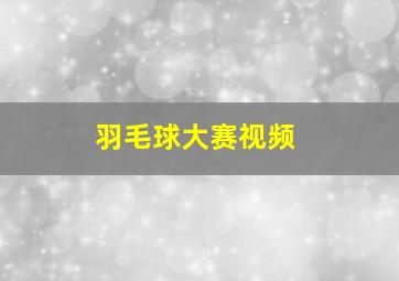 羽毛球大赛视频