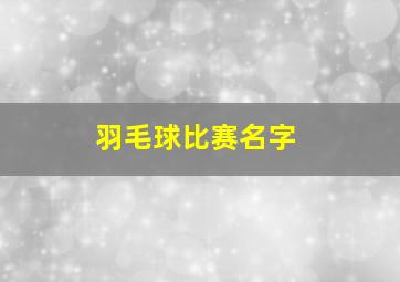 羽毛球比赛名字