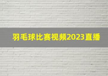 羽毛球比赛视频2023直播