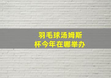 羽毛球汤姆斯杯今年在哪举办