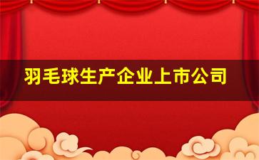 羽毛球生产企业上市公司