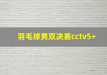 羽毛球男双决赛cctv5+