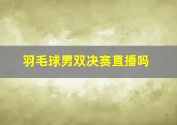 羽毛球男双决赛直播吗