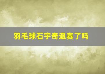 羽毛球石宇奇退赛了吗