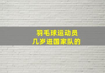 羽毛球运动员几岁进国家队的