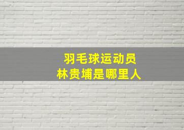 羽毛球运动员林贵埔是哪里人