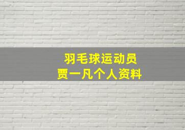 羽毛球运动员贾一凡个人资料