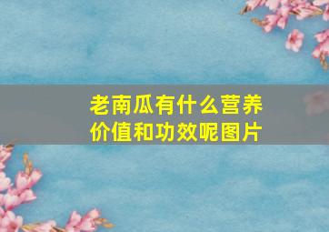 老南瓜有什么营养价值和功效呢图片