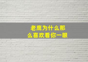 老鹰为什么那么喜欢看你一眼