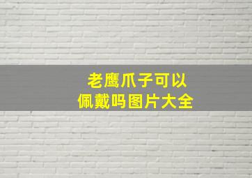 老鹰爪子可以佩戴吗图片大全