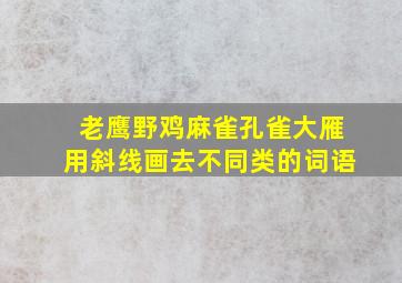 老鹰野鸡麻雀孔雀大雁用斜线画去不同类的词语