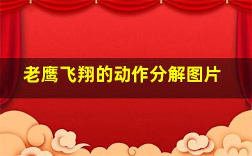 老鹰飞翔的动作分解图片