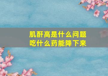 肌酐高是什么问题吃什么药能降下来