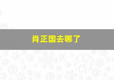 肖正国去哪了