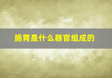 肠胃是什么器官组成的