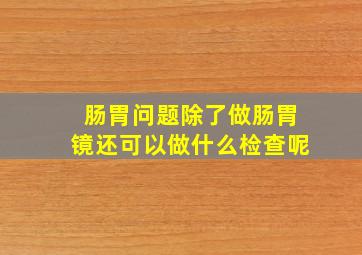 肠胃问题除了做肠胃镜还可以做什么检查呢