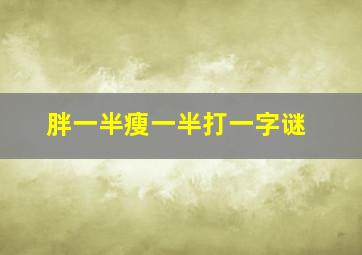 胖一半瘦一半打一字谜