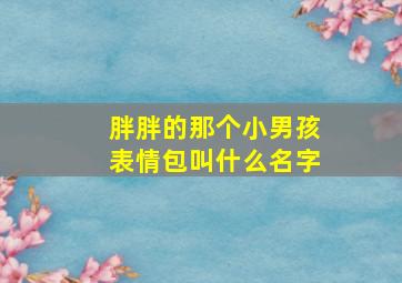 胖胖的那个小男孩表情包叫什么名字