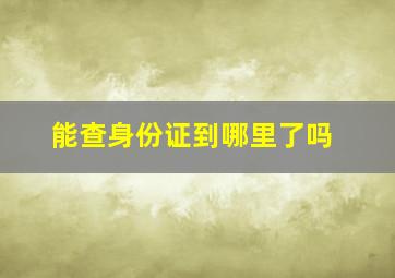 能查身份证到哪里了吗