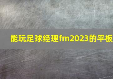 能玩足球经理fm2023的平板