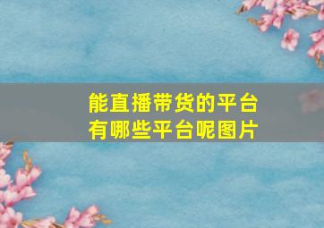 能直播带货的平台有哪些平台呢图片