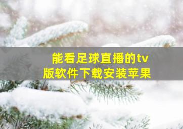 能看足球直播的tv版软件下载安装苹果