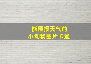 能预报天气的小动物图片卡通