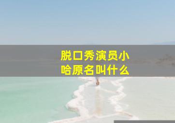 脱口秀演员小哈原名叫什么