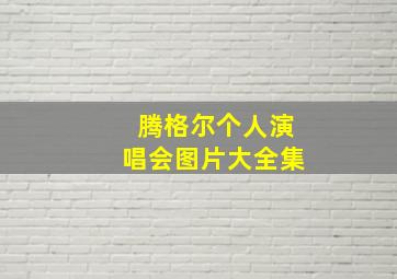 腾格尔个人演唱会图片大全集